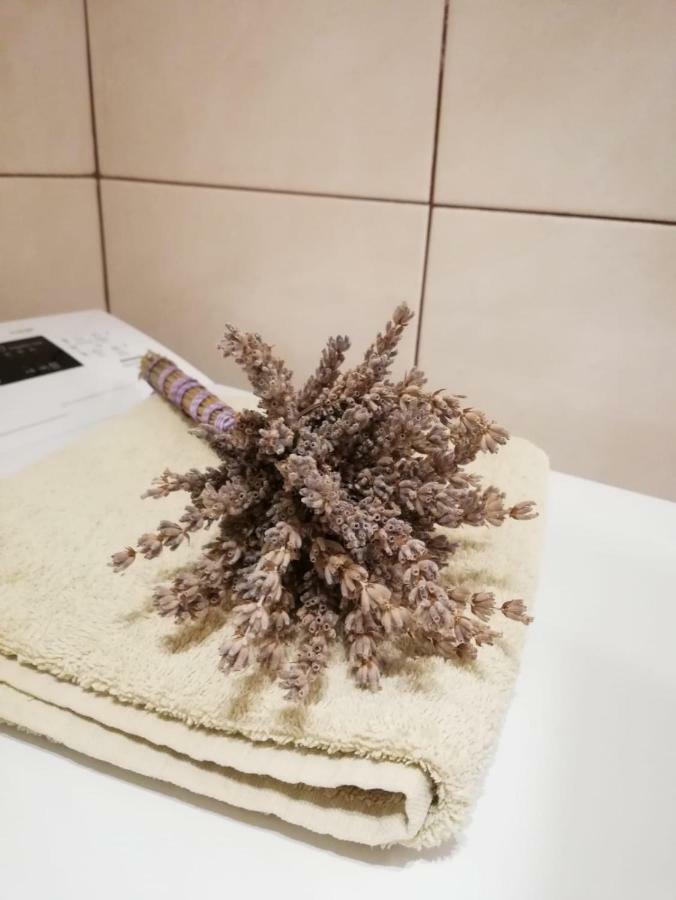 Apartman Jela Šibenik Bagian luar foto